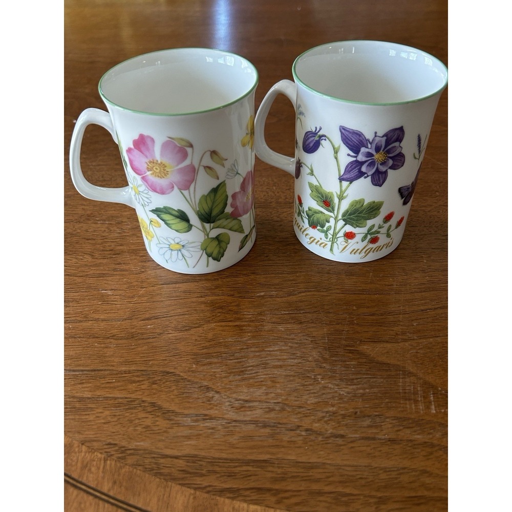Rose of England Fine Bone China Mug/Cup Variety Floral Iris Poppy Daisy Set of 2